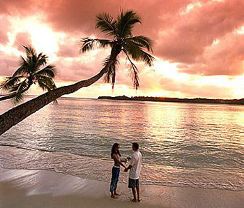 �]�����l(f��)�ꡡ���Y��ɽ��������ҡ�쳝�(j��)