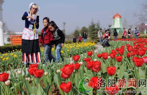 ��ꖣ�������