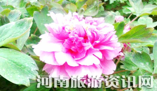 ��ĵ��Ԕ��(x��)·��