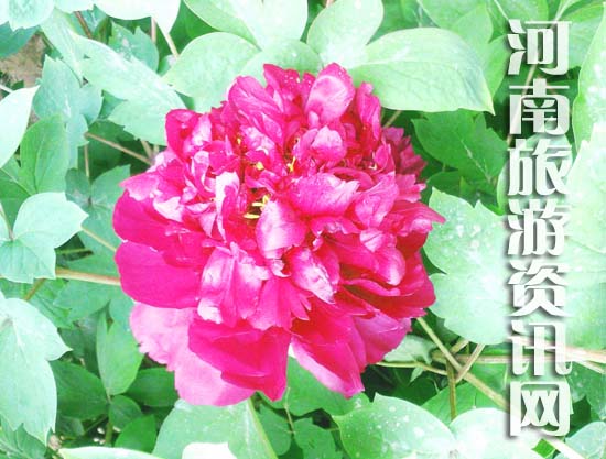 ��ĵ��Ԕ��(x��)·��