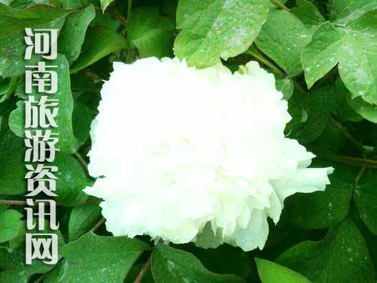 ��ĵ��Ԕ��·��