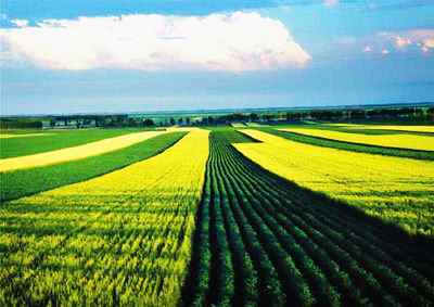 ��������ȥ�N��