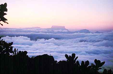 ��(d��ng)����ľ��