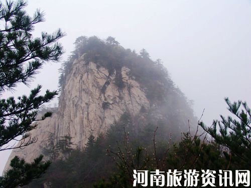 ľ���X ��������