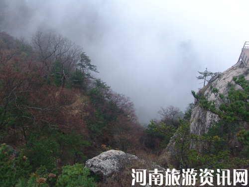 ľ���X ��������