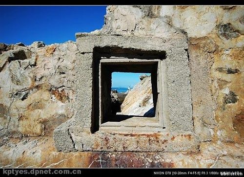 �V�|���� ���i�Ѝu �Ї����R������