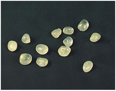 ���Ĳ�������