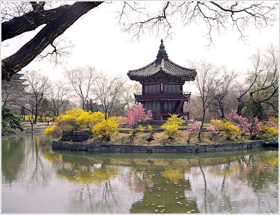 �����m �n�� ��������