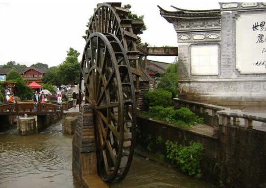 �����ų�