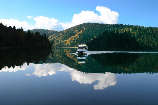 ���� ���� ���� ��������