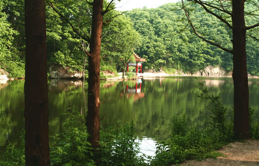 ���M(f��i) ���� 21��(g��)ɭ�ֹ��@ ����