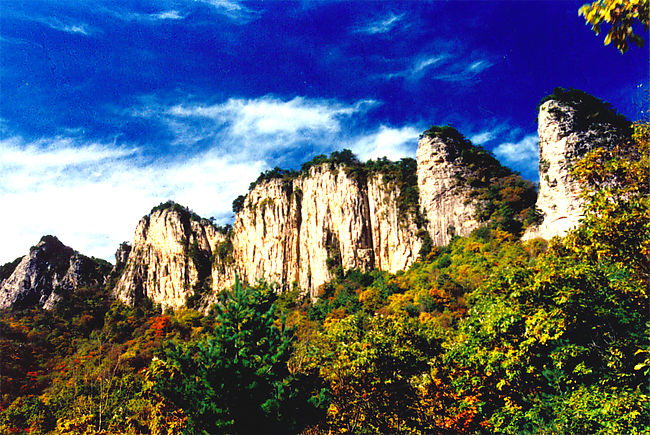 ���M(f��i) ���� 21��(g��)ɭ�ֹ��@ ����