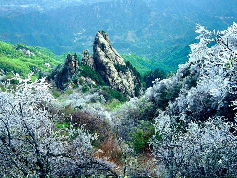 ���M(f��i) ���� 21��(g��)ɭ�ֹ��@ ����