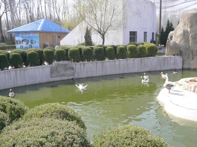 ���M(f��i) ���� 21��(g��)ɭ�ֹ��@ ����