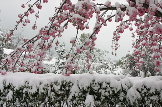 ���M(f��i) ���� 21��(g��)ɭ�ֹ��@ ����