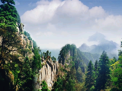 ���M ���� 21��ɭ�ֹ��@ ����