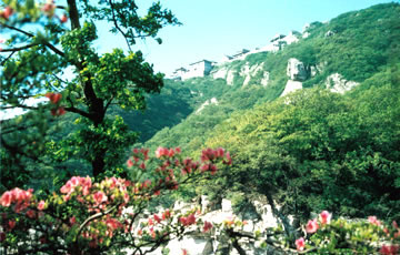 ���M ���� 21��ɭ�ֹ��@ ����