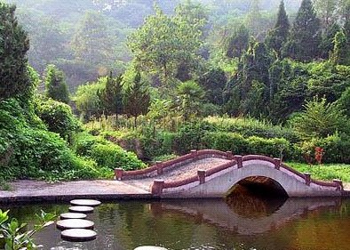 ���M ���� 21��ɭ�ֹ��@ ����