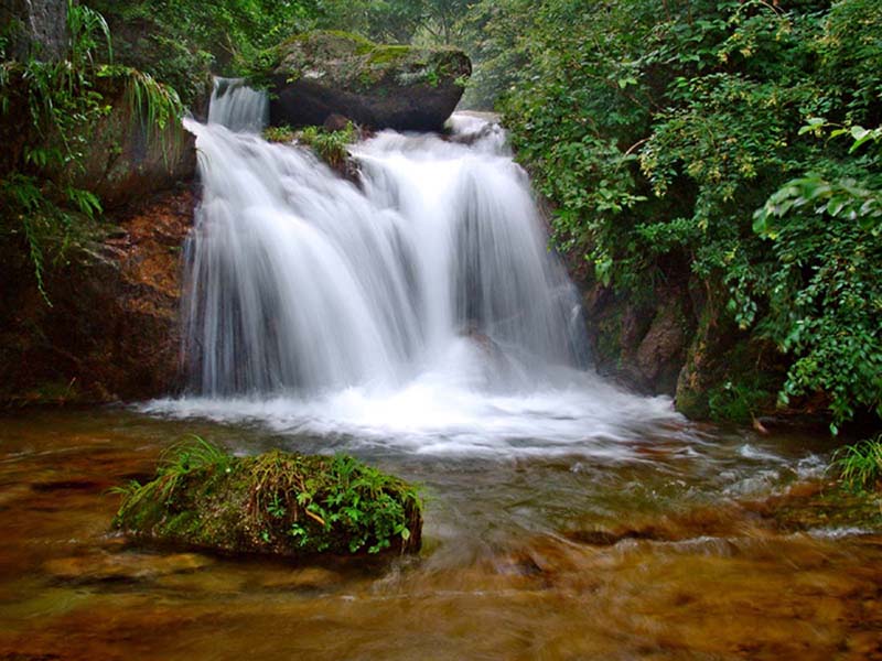 �������L(f��ng)���^(q��)