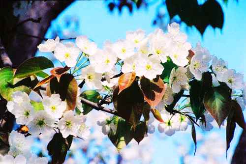 �m��ʲ���滨