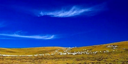 �ຣ ���(sh��) �D(zhu��n)�^(gu��)�q�µ���݆