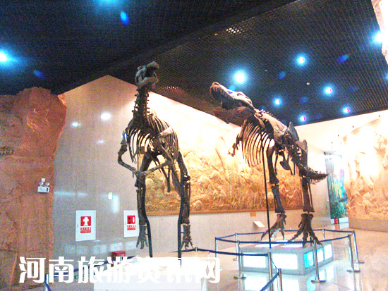 ����ھŴ����E �Ї�(gu��)���{�����z�E�@