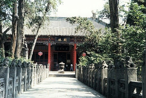 ��� �P(gu��n)��