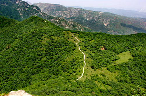 �S������կ