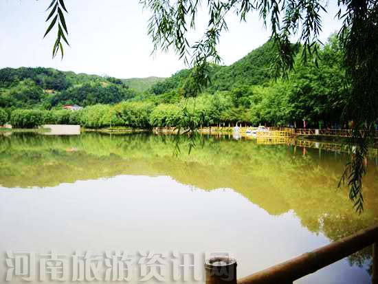 ԥ����{��