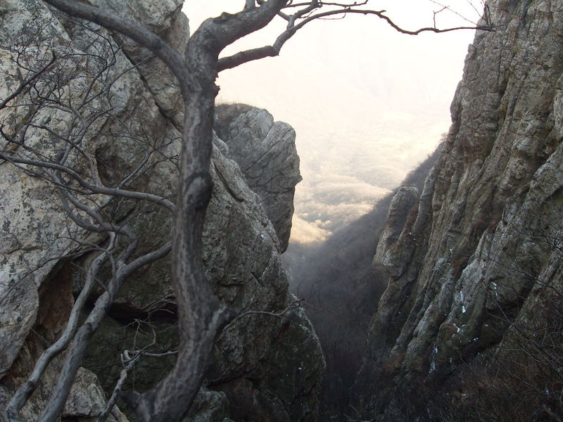 ����ɽ �θ�