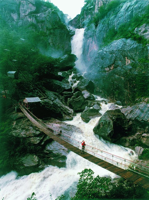 ������{��