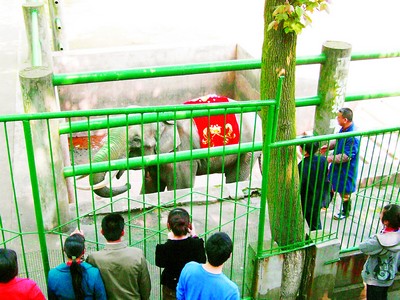 �L(zh��ng)ɳ ���@ ���^(q��) ��һ�� ���M(f��i)��@