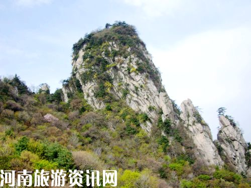 5��1��ľ���X ����(j��)����ֱͨ܇ ��������