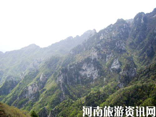 5��1��ľ���X ����(j��)����ֱͨ܇ ��������