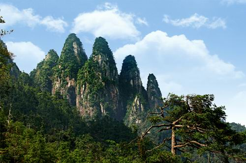 ������ָ�� ������һ