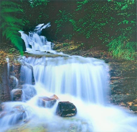 �L(zh��ng)ɳ������һ