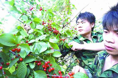 ���߅^(q��)��կ�l(xi��ng) ���Ҝϴ� ���� ���� �r�Ҙ�