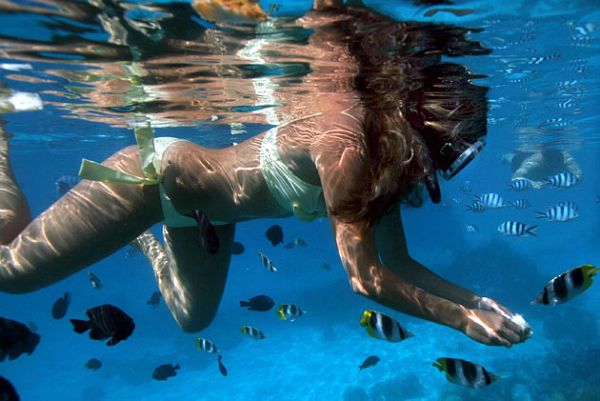 ���������u �������������ču�Z ��������