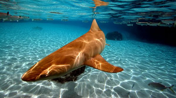 ���������u �������������ču�Z ��������