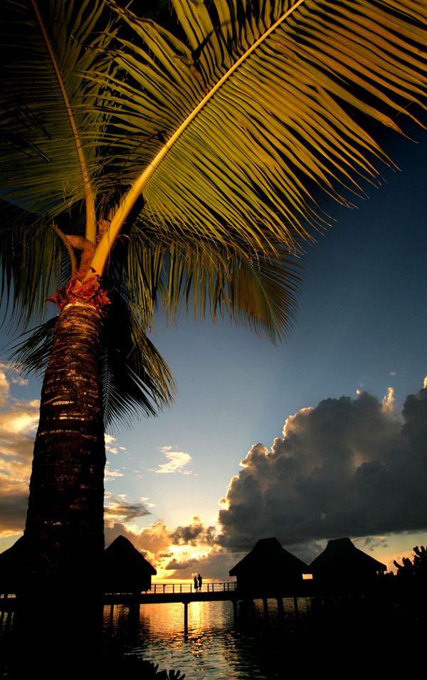 ���������u �������������ču�Z ��������