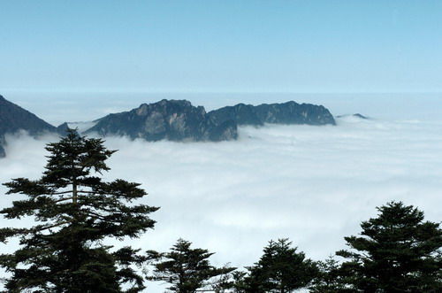 �F�G֮�� ���r(n��ng)�� ͻ��֮· ���o�h(hu��n)�� ��ʧ�l(f��)չ ��(j��ng)�����a �����M �ƺ�