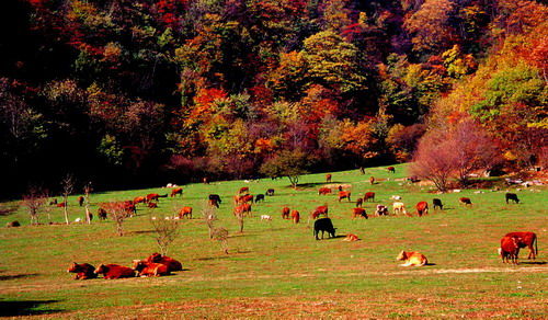 �F�G֮�� ���r(n��ng)�� ͻ��֮· ���o(h��)�h(hu��n)�� ��ʧ�l(f��)չ ��(j��ng)��(j��)���a(b��) �����M(f��i) ��ź�