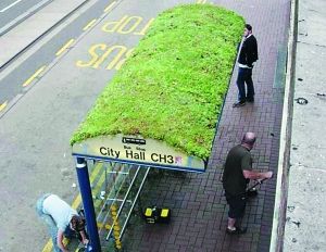 ����(gu��) ������Ȥ ����܇վ