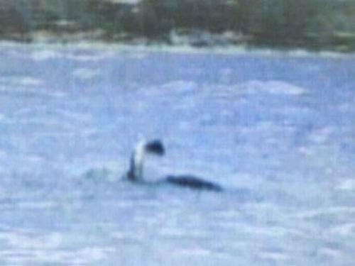 ���� �����m�� ˮ�� Ŀ��ҕ�l �����Z��