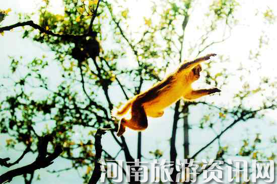 ��Դ�������L�����م^(q��)