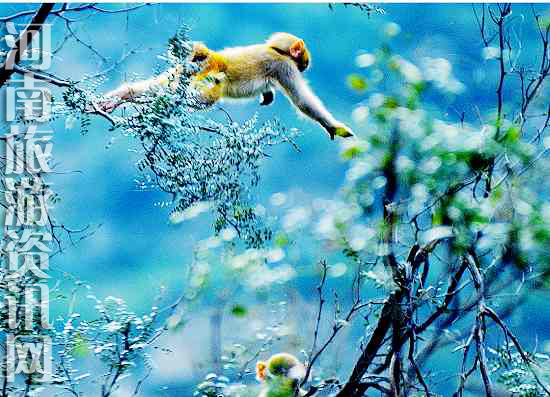 ��Դ�������L�����م^(q��)