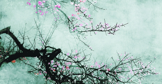 �� ���r(n��ng)ɽ 