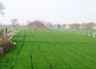 �w��ط ��� �� ������