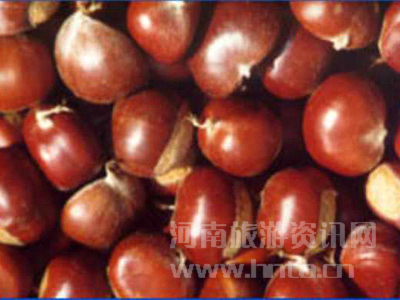 ľ���X����