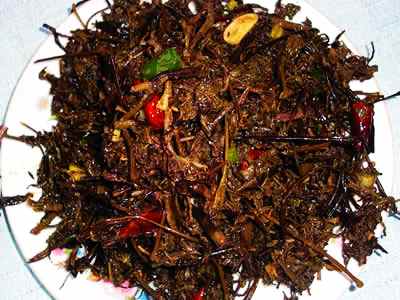 ��ü����ʳ